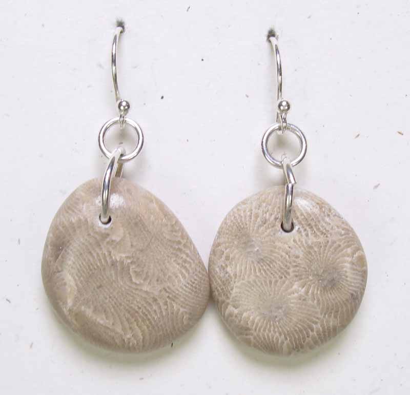 Very Large Natural Petoskey Stone Earrings